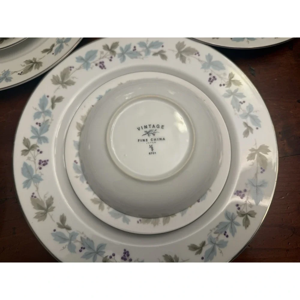 Vintage Fine China of Japan 6701 Grape Vine Platinum 30 Pc Dinnerware Set For 10